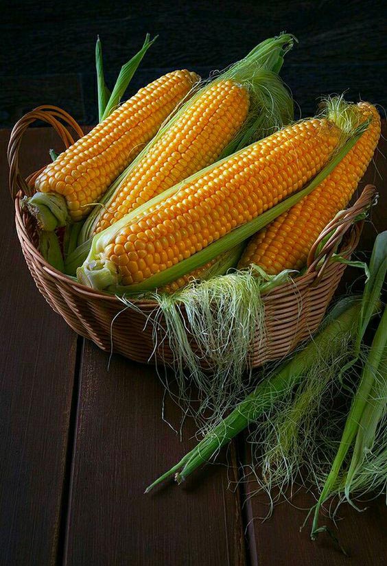 ruben_corella's tweet photo. #maiz #corn #mazorcas #veganfood #veganmood #foto #huerto #cosecha #dacsa #vegetables #health #foodie #harvest #felizsemana #countrylife #cereales #vidasana #photoart https://t.co/lYbLUlBdyO