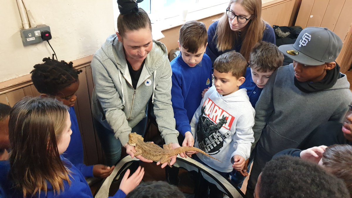 3rdenfieldbb's tweet photo. Yesterday our Anchors and Juniors joined with 100+ members of @enfieldbb for an Activity Afternoon at 1st Enfield HQ including craft, games and the opportunity to learn about and meet some fantastic birds of prey π¦
π¦ thanks to Falconry UK! #BoysBrigade #BBAdventure #BBinLondon https://t.co/FXDQIeGgd0