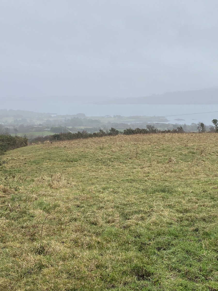 Mollkos's tweet photo. Day 36 while itβs sunny in a lot of the country, we are still stuck in the mist in the south west. The sheep cheered me up again today. #100daysofwalking @NewstalkFM Day 1497 #1500daysofwalking #365daysofwalking https://t.co/5w44qyE6w2