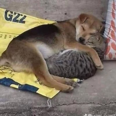 Titan_Fn's tweet photo. #NewProfilePic https://t.co/NwmYRJMaBr
