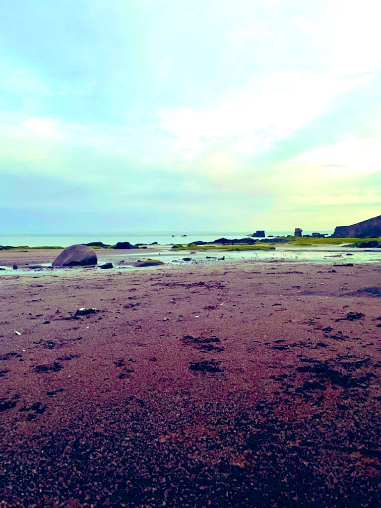 We are loving the lighter nights… walkies before dinner! 🐾 #sundayvibes #weekendvibes #Dog #DogsofTwittter #sunsets #sunsetphotography