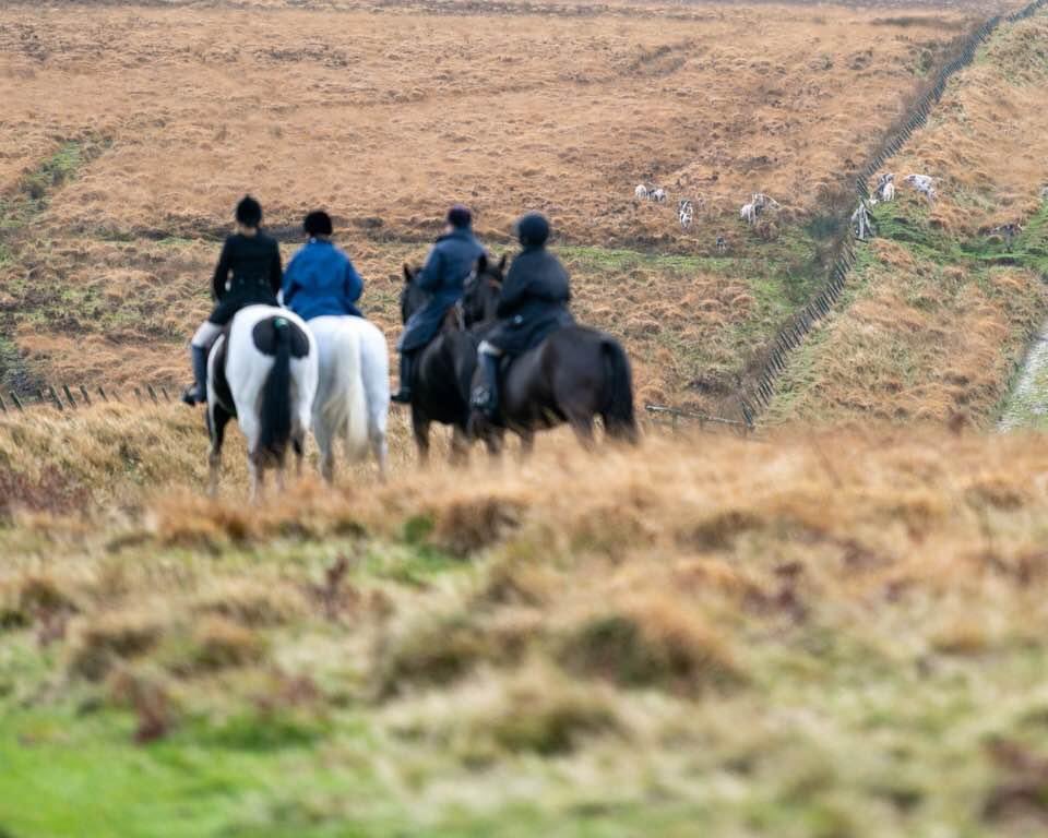 #foxhounds #hounds #houndsports #huntingphotography #equestriansport