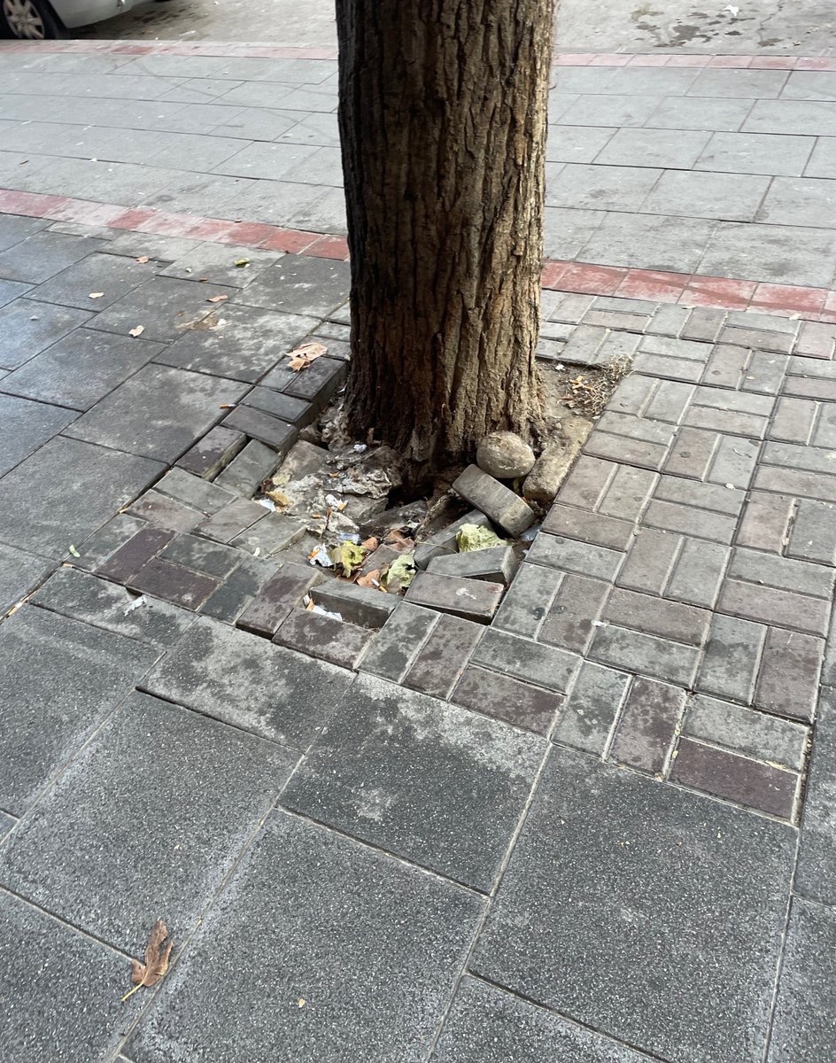ActivemLleida's tweet photo. La deixadesa de l'actual equip municipal es demostra en l'estat actual de molts carrers de la ciutat, que mostren degradació, brutícia, molèsties i posibles accidents. #lleidaverda #neteja #urbanitat #gestio #unaciutatambanima #lideratge #serveialespersones https://t.co/BV8V7uIiZz