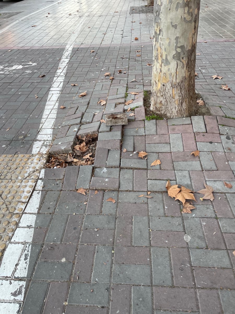 ActivemLleida's tweet photo. La deixadesa de l'actual equip municipal es demostra en l'estat actual de molts carrers de la ciutat, que mostren degradació, brutícia, molèsties i posibles accidents. #lleidaverda #neteja #urbanitat #gestio #unaciutatambanima #lideratge #serveialespersones https://t.co/BV8V7uIiZz