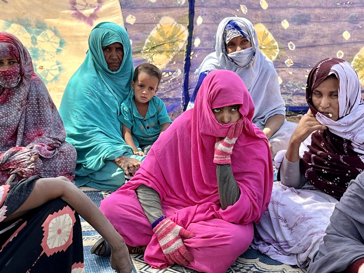 SheinbergUN's tweet image. La paix verte ⁦@UNPeacebuilding⁩ @ONUMauritanie ⁦@PNUDMauritanie⁩ ⁦@Refugees⁩ integrated refugees and host communities support leading to reforestation and restoration of degraded land and piloting innovation around biogas and green energy