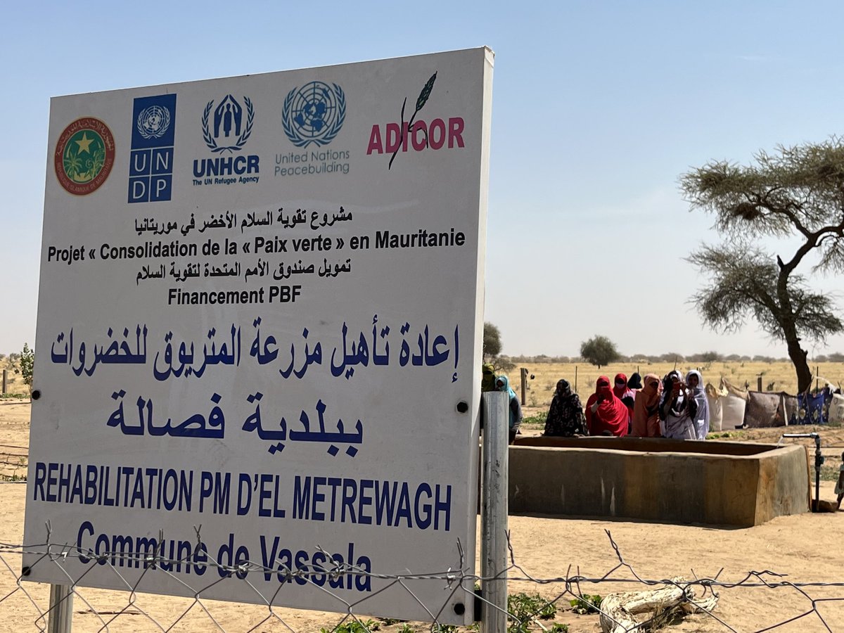 SheinbergUN's tweet image. La paix verte ⁦@UNPeacebuilding⁩ @ONUMauritanie ⁦@PNUDMauritanie⁩ ⁦@Refugees⁩ integrated refugees and host communities support leading to reforestation and restoration of degraded land and piloting innovation around biogas and green energy