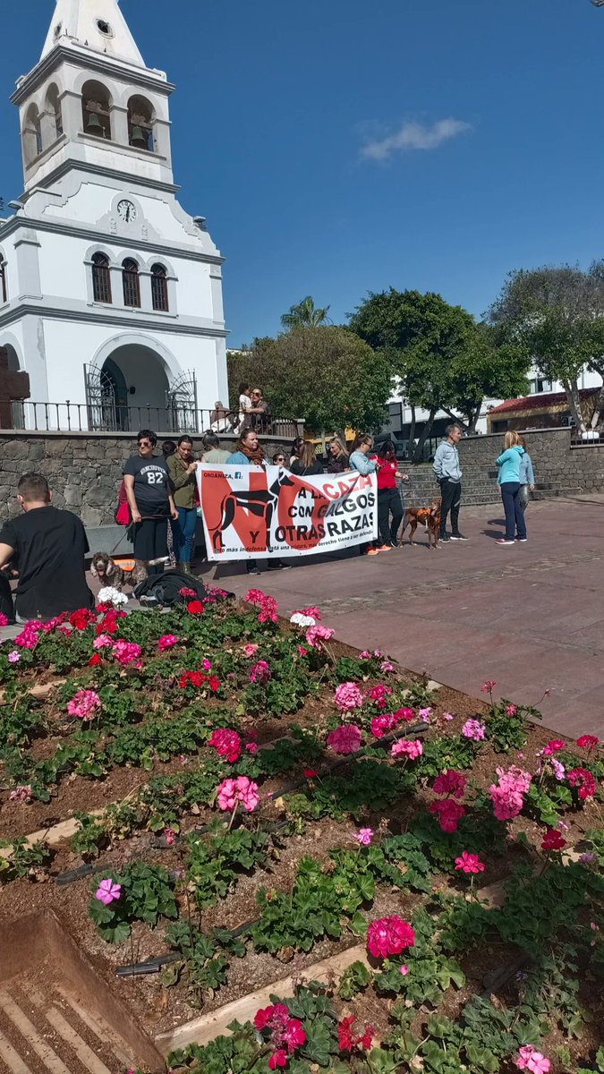 Desde Fuerteventura decimos no a la caza

#YoVoy5F 
#NoALaCaza
#NoALaCaza5F
#VictimasDeLaCaza
#LaVerdadDeLaCaza
#MismosPerrosMismaLey
#NingúnPerroFueraDeLaLey