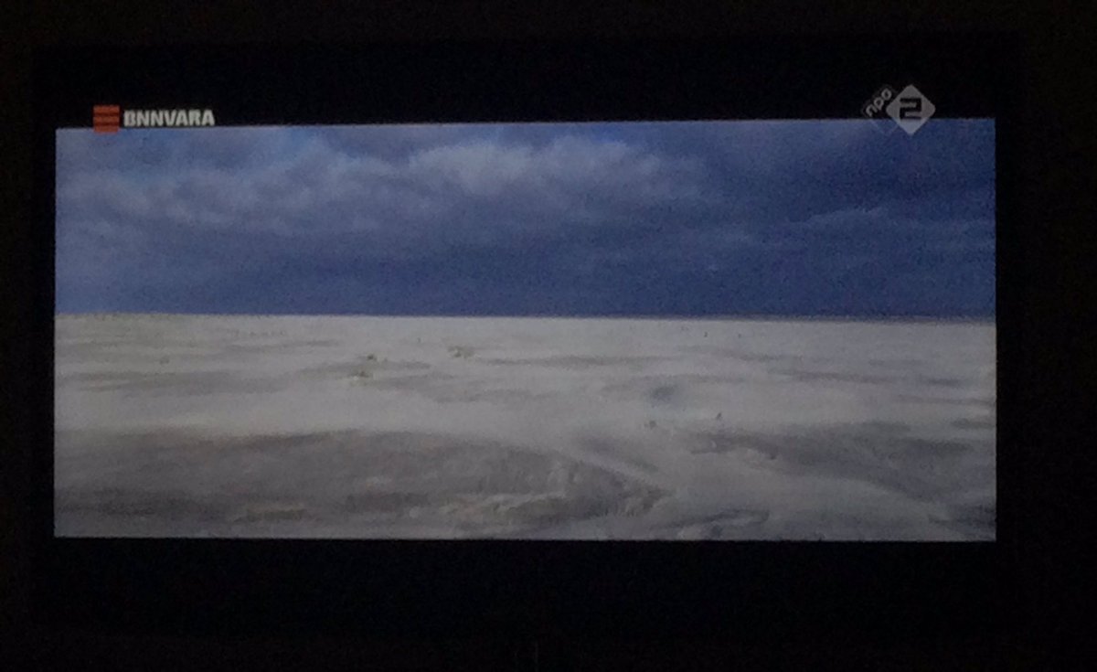 Esther Ouwehand tweet media