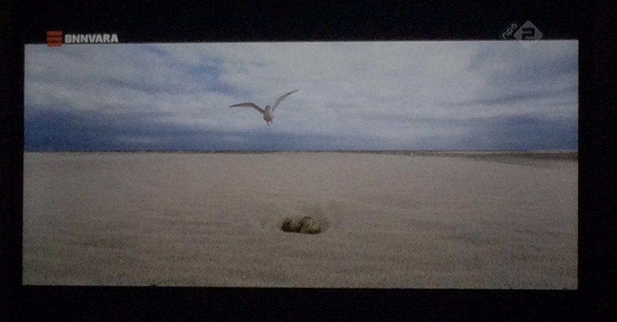 Esther Ouwehand tweet media