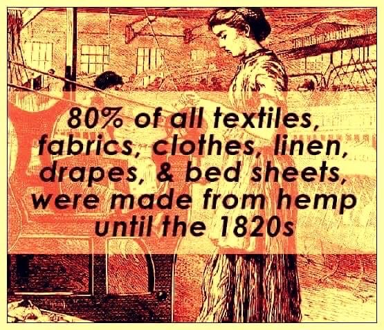 Mile High Hemp (@milehighhemp) on Twitter photo 