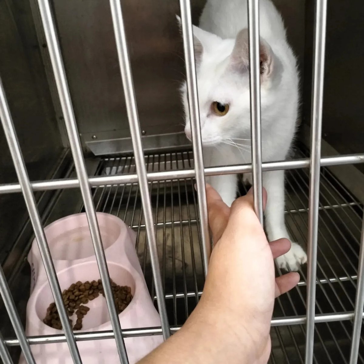 Gray And Siblings tweet media