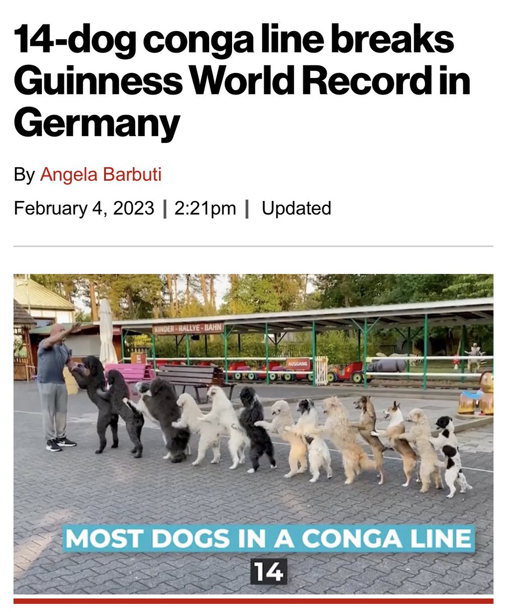 JPHilllllll's tweet photo. The only news I want to see from here on out https://t.co/FUZmlwwvdW