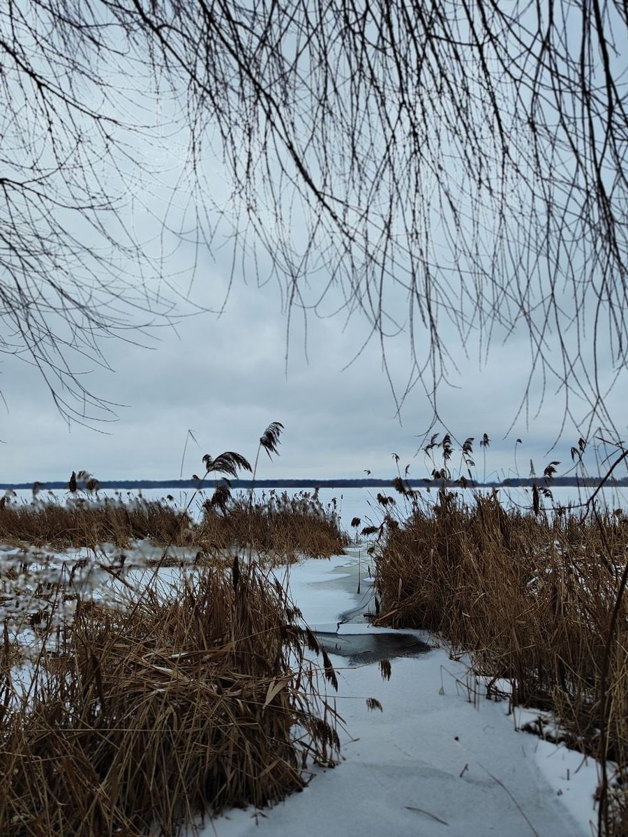 dasha_spnx's tweet photo. ❄️ https://t.co/cT0nRqYsCQ