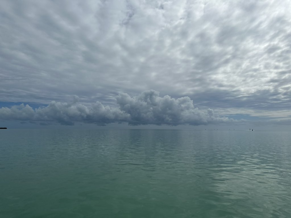 SylviaPlath’sOnlyFans on Twitter: "Boat boobs"