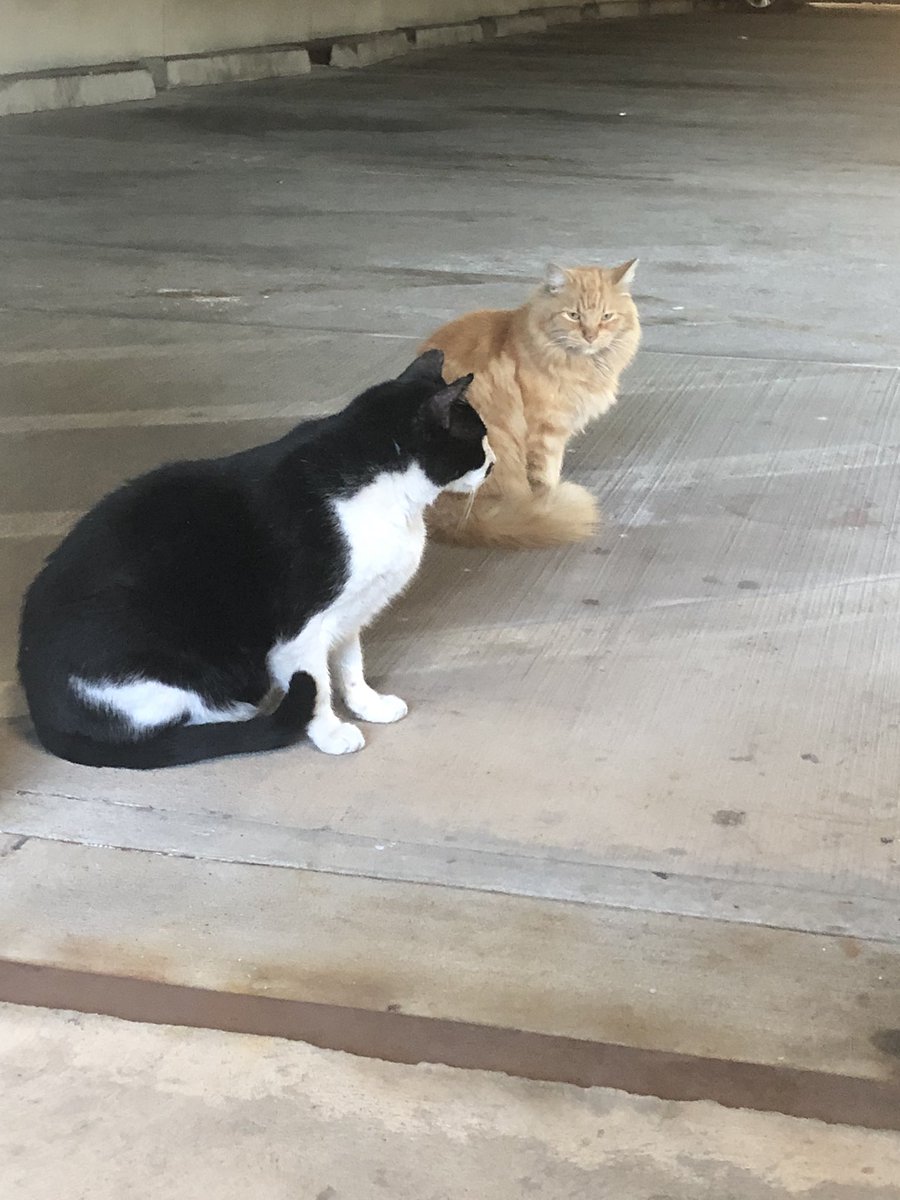 Stephen Willis tweet media