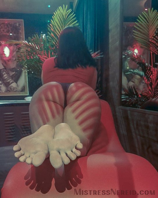 They're right there, available for worship and great care.  #FemDom #feet #barefoot https://t.co/Ftz<a href="/tag/femdom"class="tags"><span>#femdom</span></a><a href="/tag/feet"class="tags"><span>#feet</span></a><a href="/tag/barefoot"class="tags"><span>#barefoot</span></a>