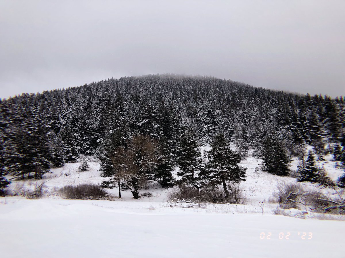 1903_zaferr's tweet photo. Gar
Gış
Gıyamet

❄️ https://t.co/Q6P9slhs92