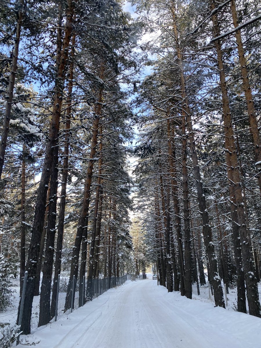 1903_zaferr's tweet photo. Gar
Gış
Gıyamet

❄️ https://t.co/Q6P9slhs92