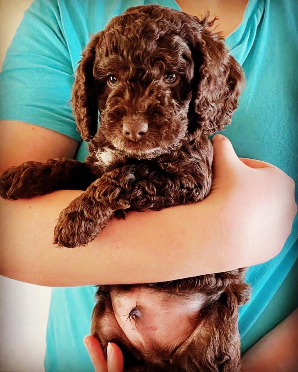 Albie!! 💙 can’t wait till you are home <a href="/maddogsavo/">maddogsavo</a>