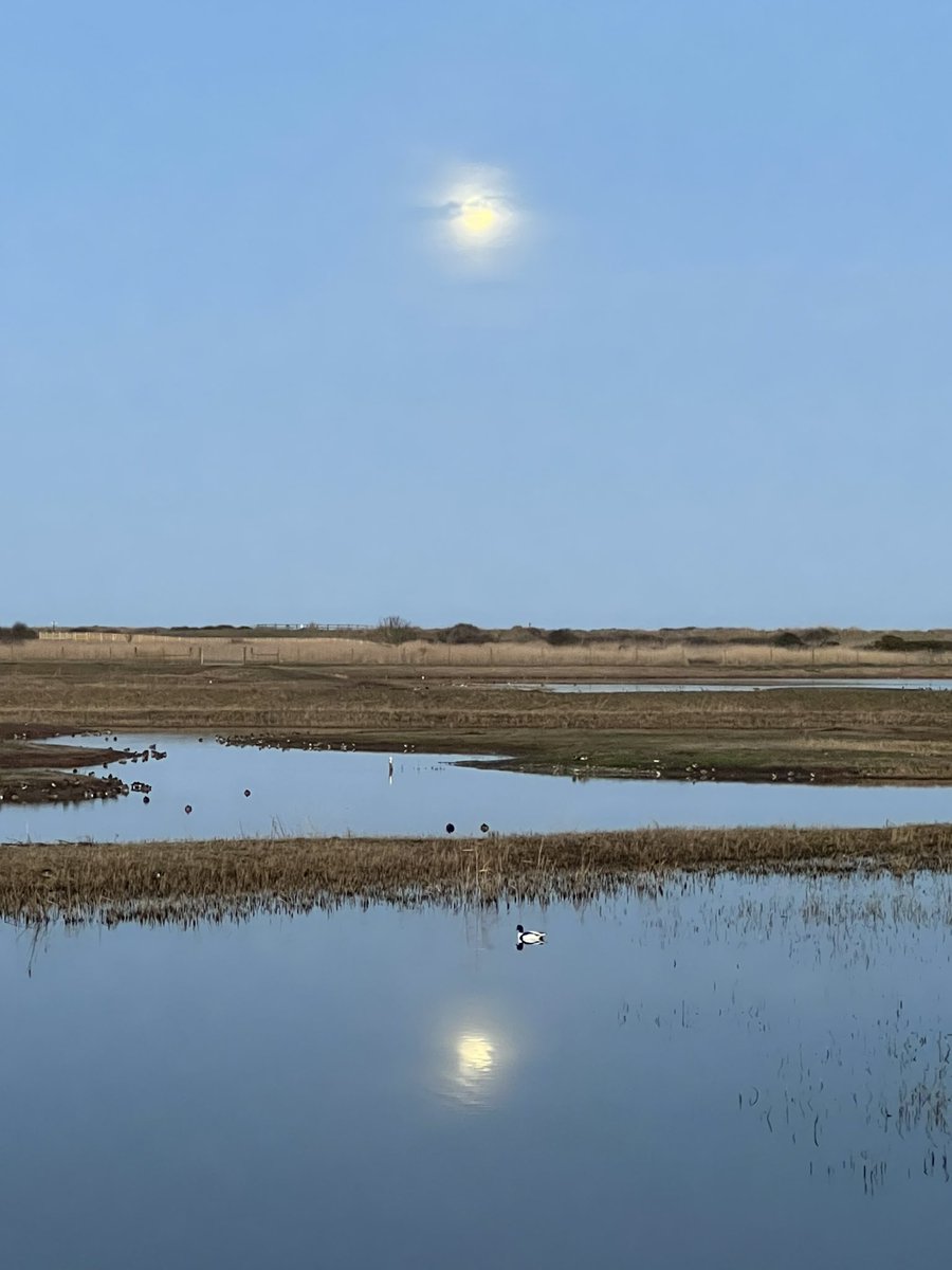 Beautiful snow moon over the scrape <a href="/RSPBMinsmere/">RSPB Minsmere 🌍</a>