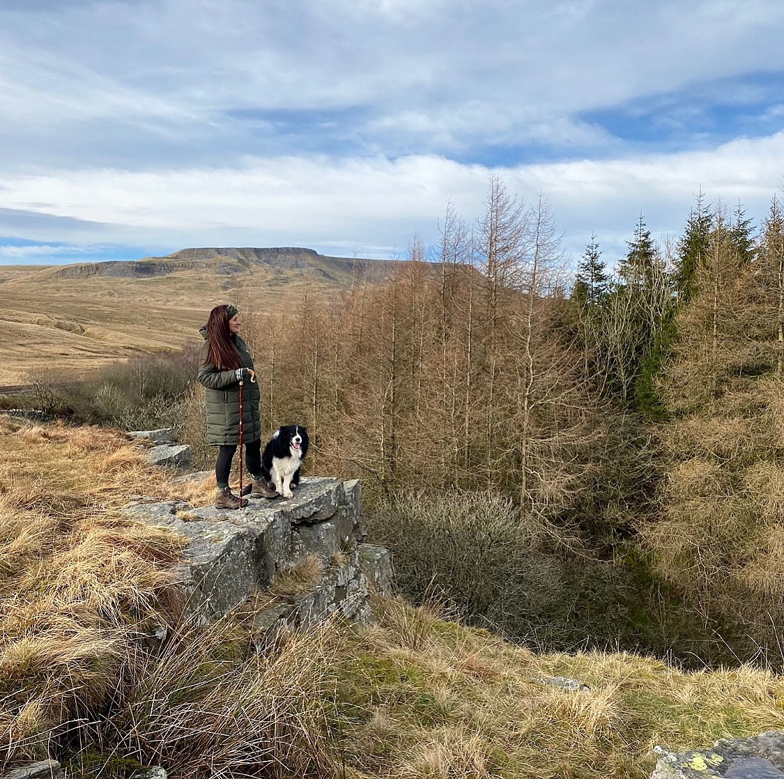 Alison O’Neill ~ Shepherdess tweet media