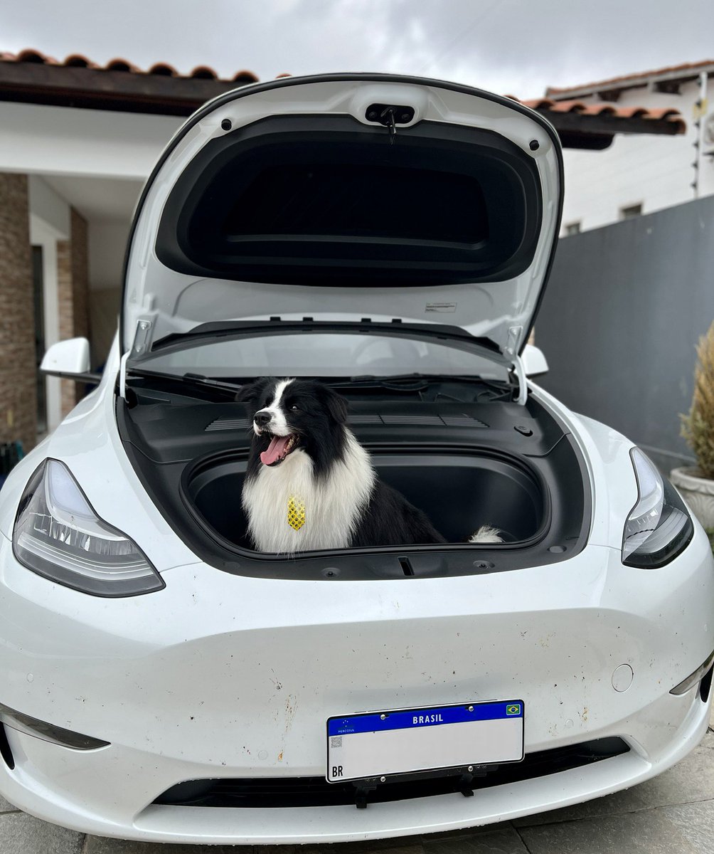 Rocha’s EVs tweet media