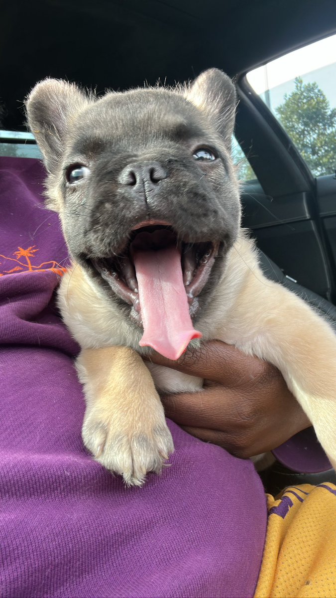 JEANTY SZN🏴‍☠️🏴‍☠️🏴‍☠️ tweet media