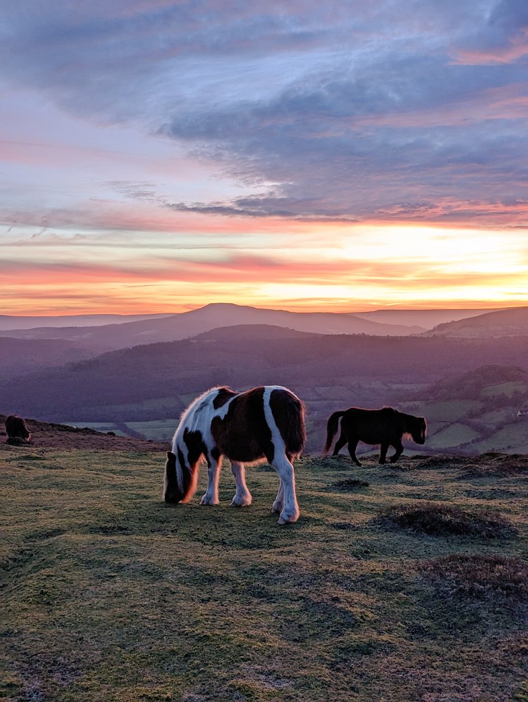 Big loop of the Black Mountains on the gravel bike. Finished off with a bonkers sunset. #blackmountains #breconbeacons