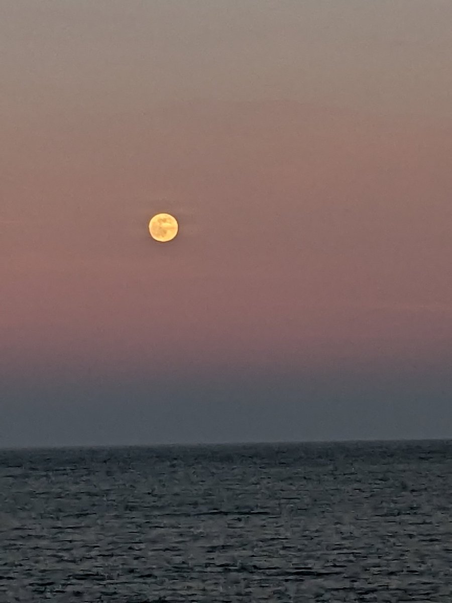 #fullmoon swimming at Elberry Cove #Devon #coldwaterswim #moonswim #SnowMoon #soil #workshop update tomorrow!