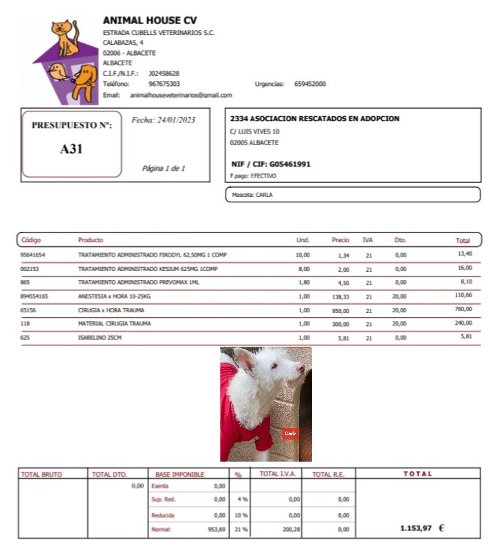 Hemos operado a Carla de ligamentos rotos, cualquier ayuda es bienvenida. #RescatadosEnAdopcion