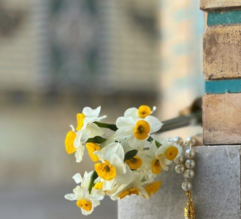 You've demonstrated to us that you found beauty in adversity.
#Zaynab