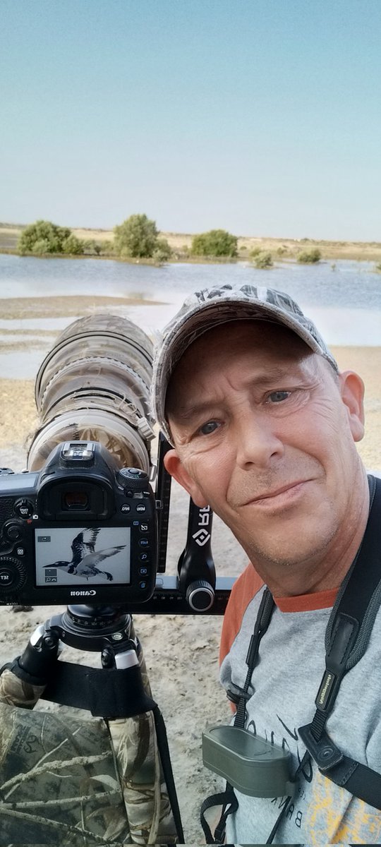 #326 tick for the uae ...
Feeling happy after driving two times Saturday and Sunday,  for this bird over the weekend 1000km.. 😜
#bird #birding #birdwatching #RRSS #lenscoat #uae #Kingfisher #selfie #birdsphotography