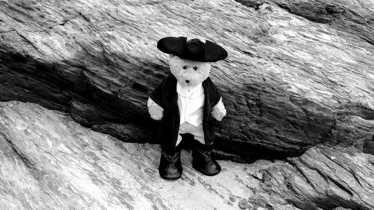 Wendy Atherton tweet media