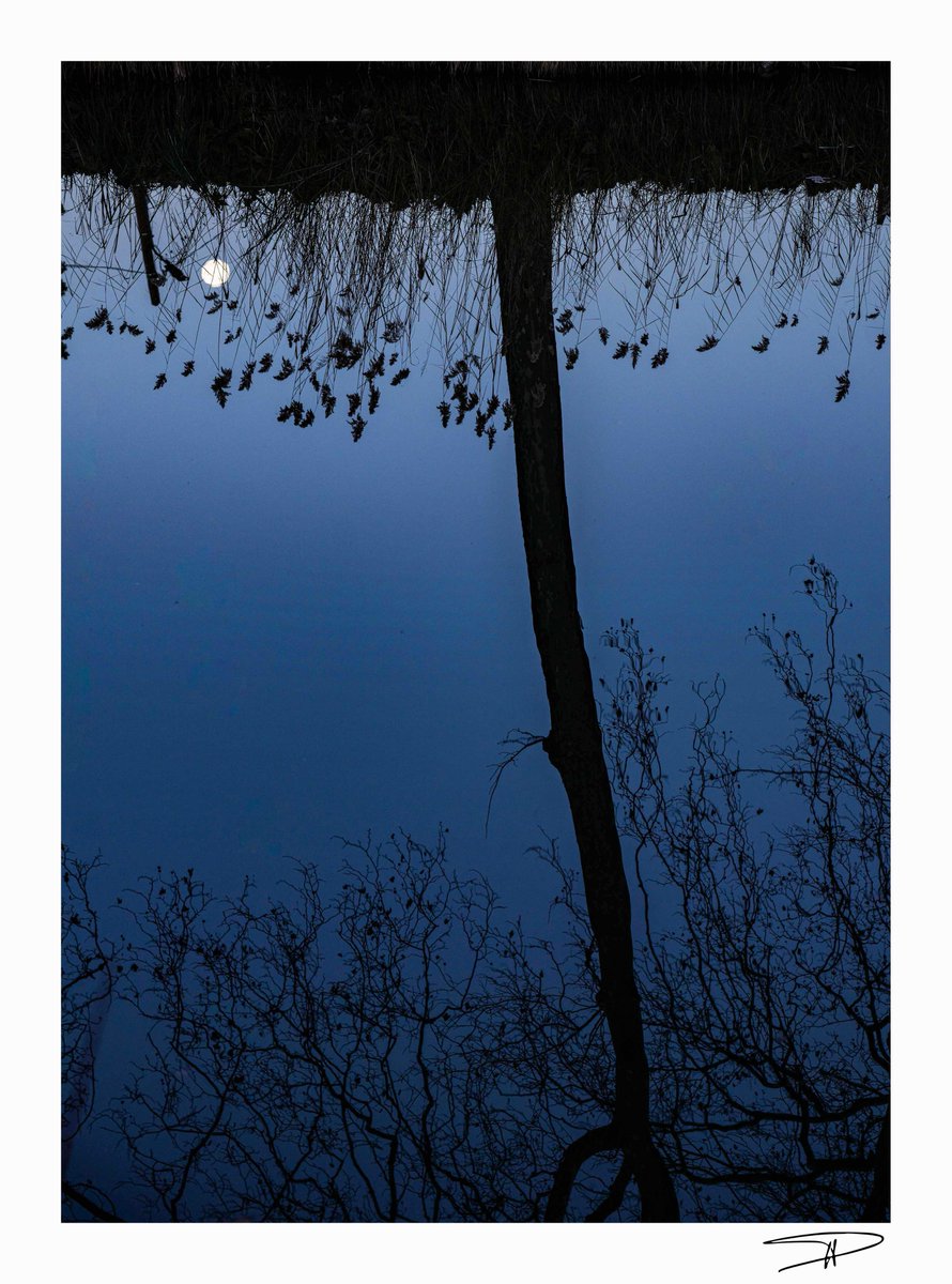 Puis, la lune plongea dans le canal...
#Toulouse #canaldumidi
4 février 2023