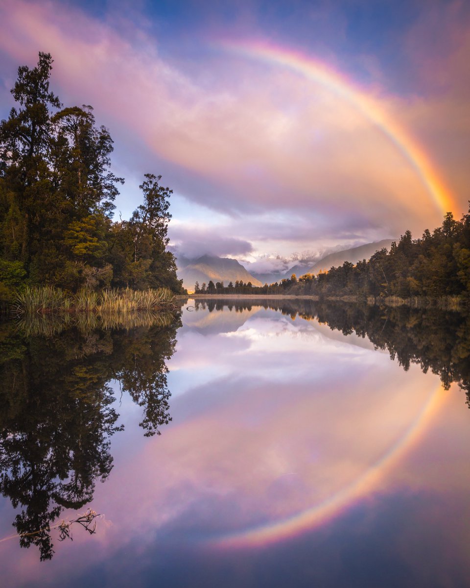 Rach Stewart tweet media