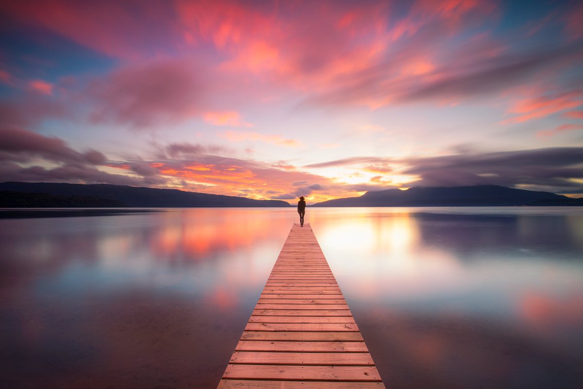 Rach Stewart tweet media