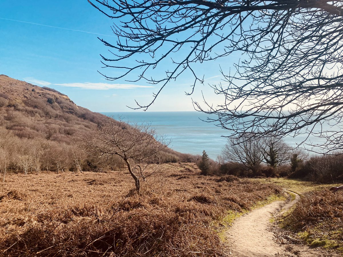 Discovered Hastings Country Park today. What an absolute gem. Coast, waterfalls and glens. The gift that just kept giving.