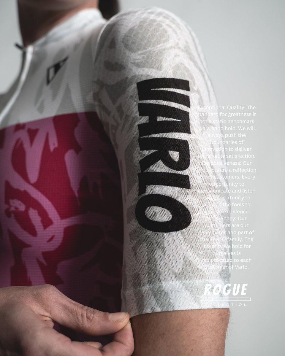 varlo_apparel's tweet photo. SIMPLY ROSE:  Made with colors that exude ambition.  The Rogue Triathlon suit is built with one thing in mind, Exceptional Quality. 

#velo #roadbike #cyclingapparel #roadbokesonly #cylcekitaddict  #bikeporn #veloapparel #kitfit #cyclingbib #cyclingjersey #roadbikeapparel #cycli https://t.co/Gql6s8cj1m