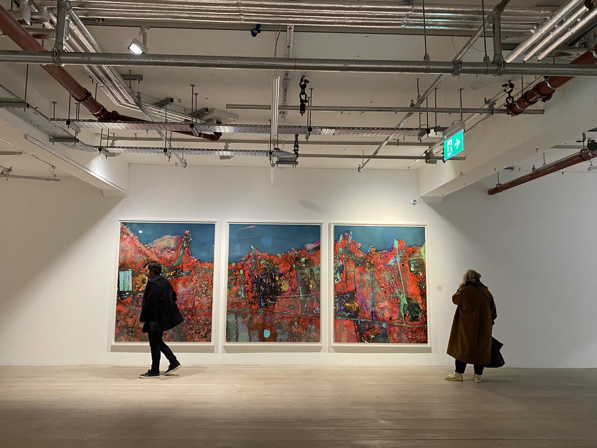 Rosie Waldron tweet media