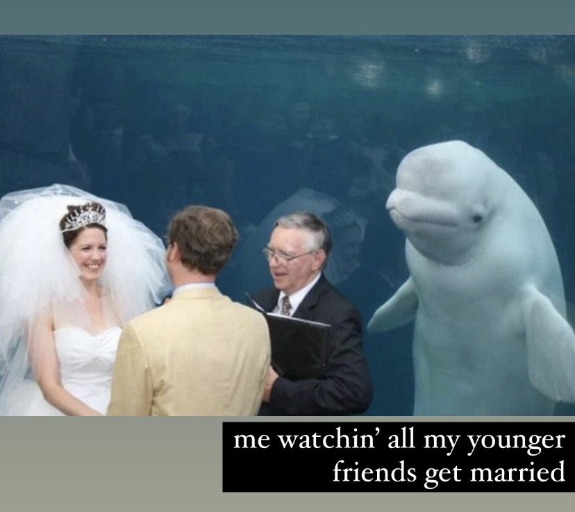 Chase McCown (@mchasemccown) on Twitter photo 