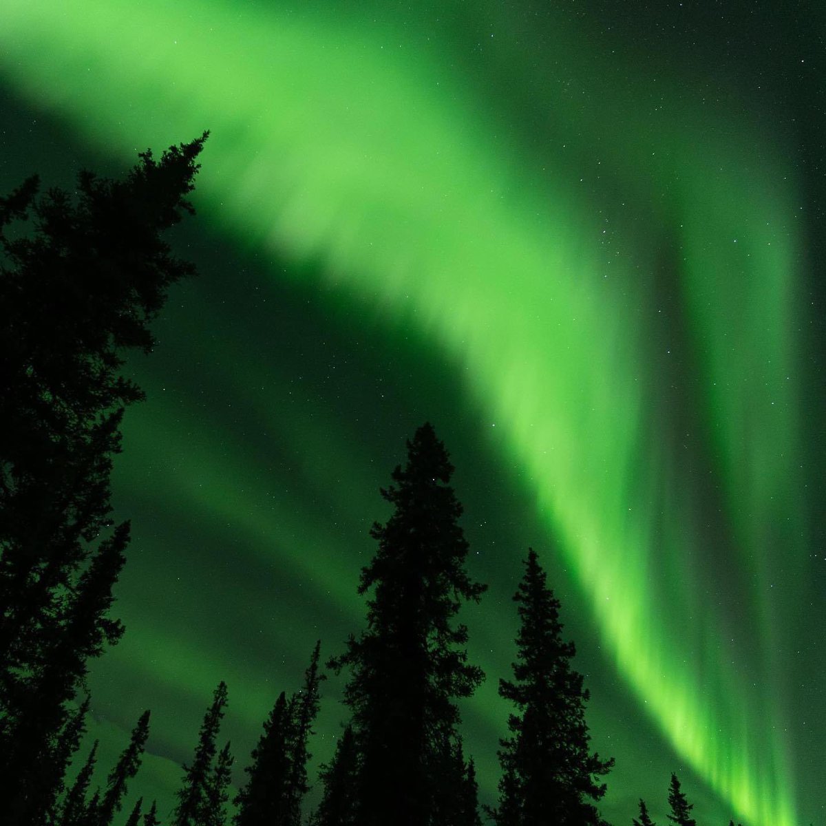 NatlParkService's tweet photo. “Aurora Borealis!? At this time of year, at this time of day, in this part of the country, localized entirely within your kitchen!?” - Super Nintendo Chalmers

📸@DenaliNPS NPS/Tyler Devine https://t.co/cIDMl7QNZR