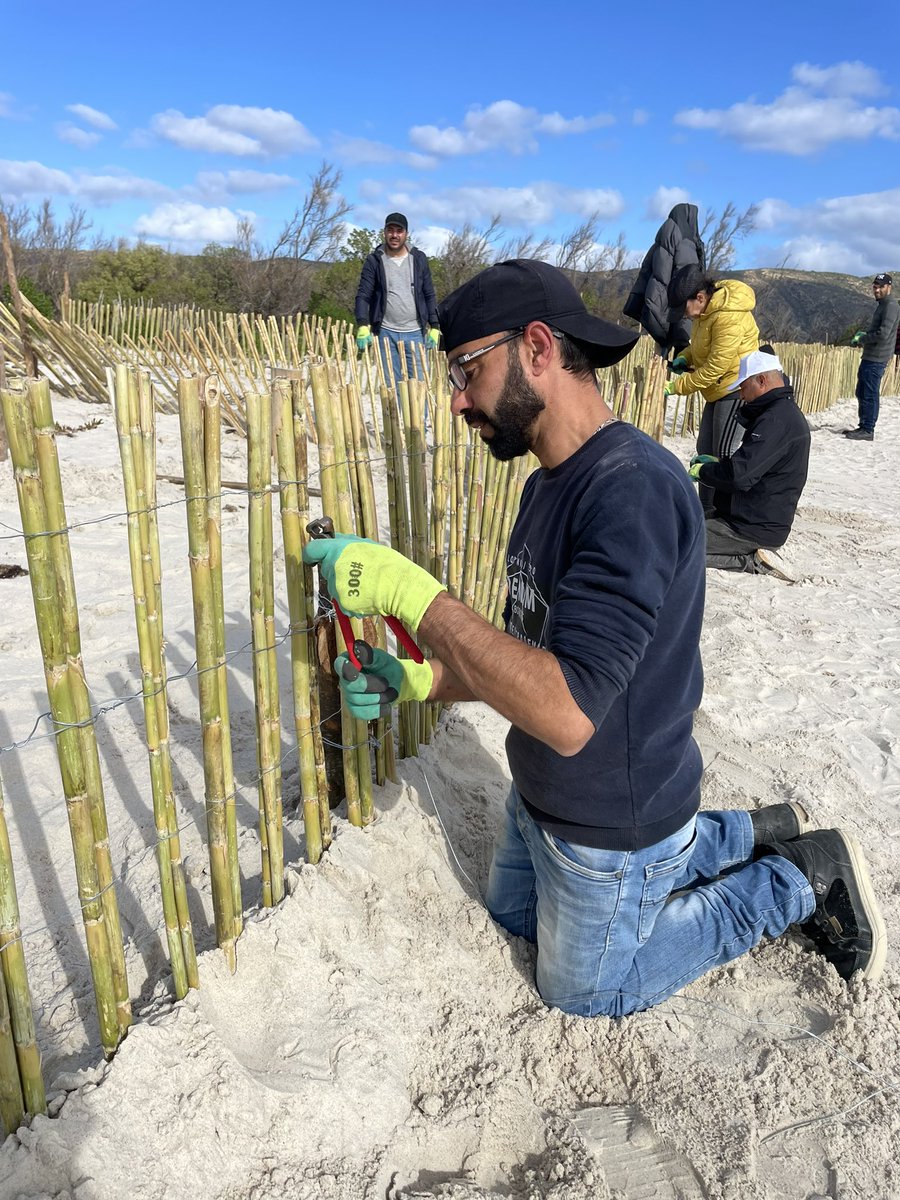 🏝️Beach restoration [sector 2]
〽️Vulnerable sandy coast were managed by the #NatureBasedSolution
🌀Local material 🌾
👩‍🌾 Local workers 
@INSTM_TN @ird_fr