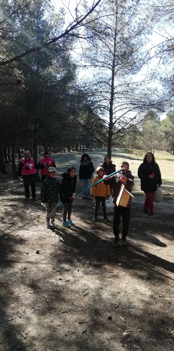 GNMedioAmbiente's tweet photo. Seguimiento e instalación de #cajasnido #paseriformes en #ParqueElHumedal en espléndido y multitudinario #diadelatortilla #DiainternacionalHumedales @Ayto_Coslada @ElCerro_Coslada @MedioCoslada https://t.co/mZ5zvcm9tF