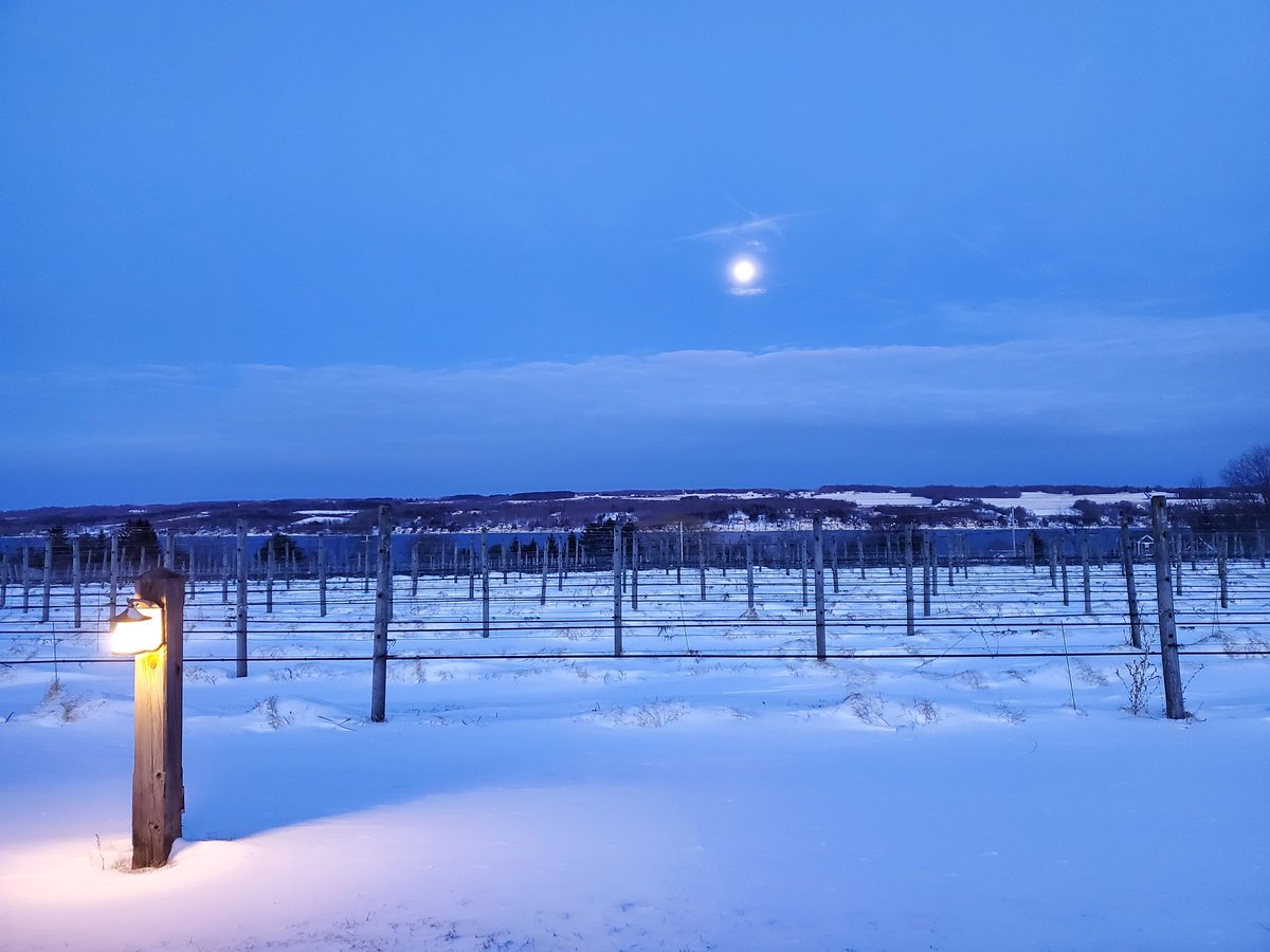 Winter #wine tasting in the snowy Finger Lakes. 😍❄️🥂