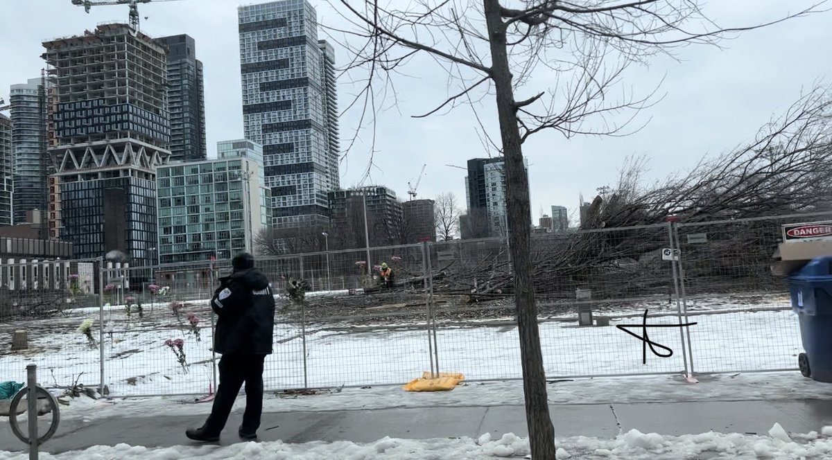 FOMossPark's tweet photo. @kristynwongtam @kristynwongtam, Thanks 4 your efforts on the  #MossParkStation  with @InfraOntario &amp; @Metrolinx.  No one willing/capable 2 continue your fight. The trees are now gone without any  community  notice #ShameOnMetrolinx #ShameOnInfrastructureOntario #NothingLearnedFromEglintonLRT https://t.co/9tYCc99pop