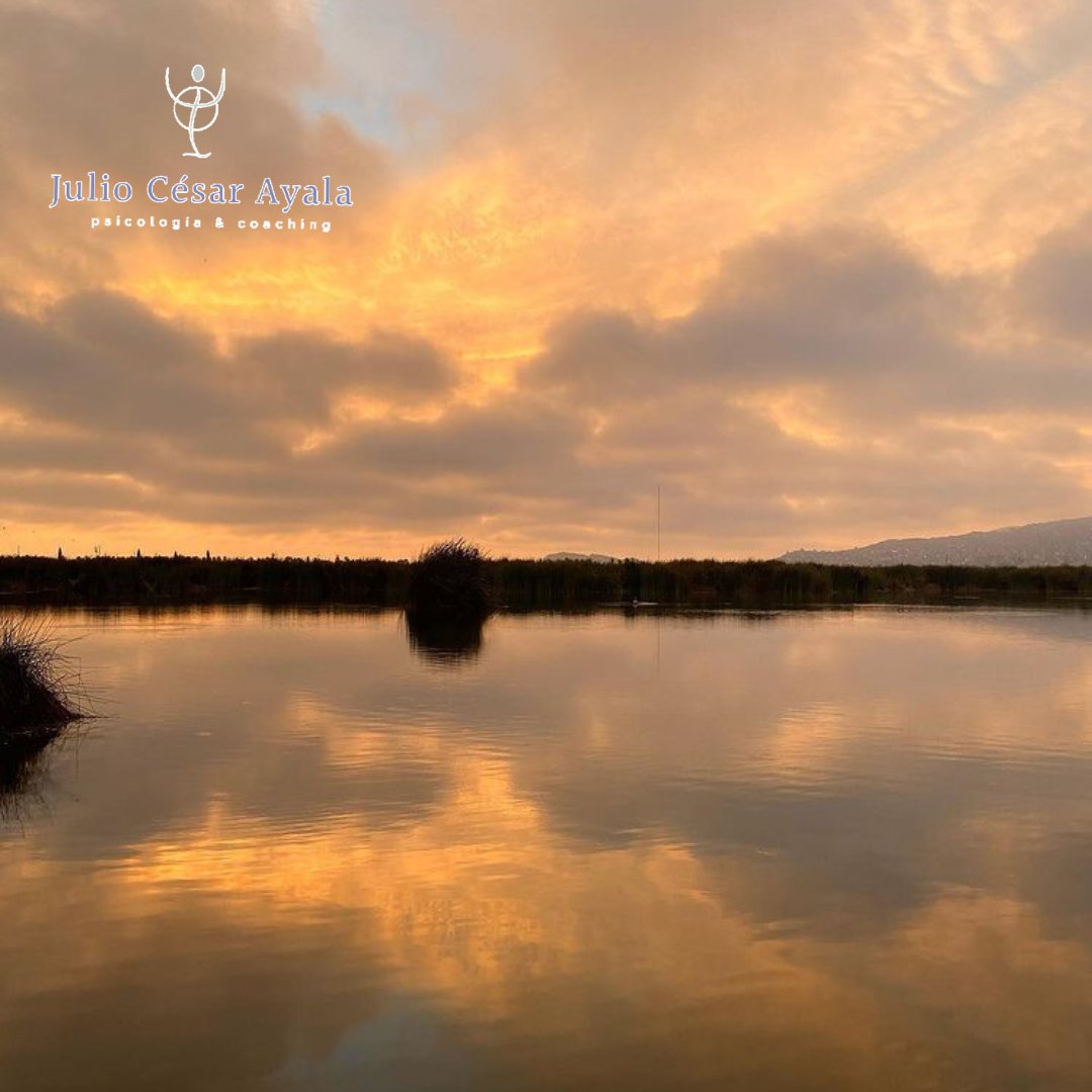 julioayala1965's tweet image. El refugio de vida silvestre Los Pantanos de Villa es un área natural protegida que se encuentra en el litoral del distrito de Chorrillos en la provincia de Lima, departamento de Lima en el Perú.
#pantanosdevillla #lima #peru🇵🇪 #paisajesperu #goperu #goodvibes #greatday