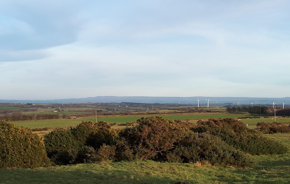 DavidstowInfo's tweet image. Today's bike ride took me up on to #Davidstow Moor instead of the River #Inny Valley.

The not quite record high pressure further north meant the sun was shining across this part of #Cornwall, and #Dartmoor was clearly visible in the distance:

1/2