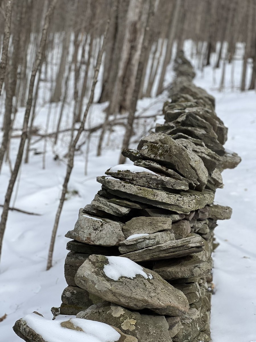 mosterhoudt's tweet image. Finally hiked Palmer Hill. It&apos;s one of my favorite meditation spots for sure, and it proved to be a beautiful hike as well. This was a great way to regroup and find my inner &quot;zen.&quot; #regroup #resetbutton #WeekendHike