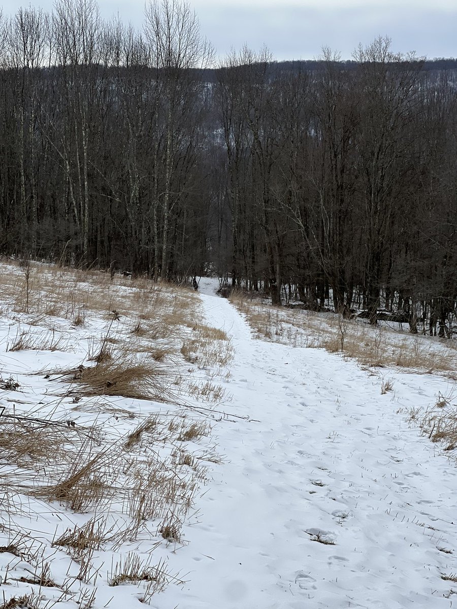 mosterhoudt's tweet image. Finally hiked Palmer Hill. It&apos;s one of my favorite meditation spots for sure, and it proved to be a beautiful hike as well. This was a great way to regroup and find my inner &quot;zen.&quot; #regroup #resetbutton #WeekendHike