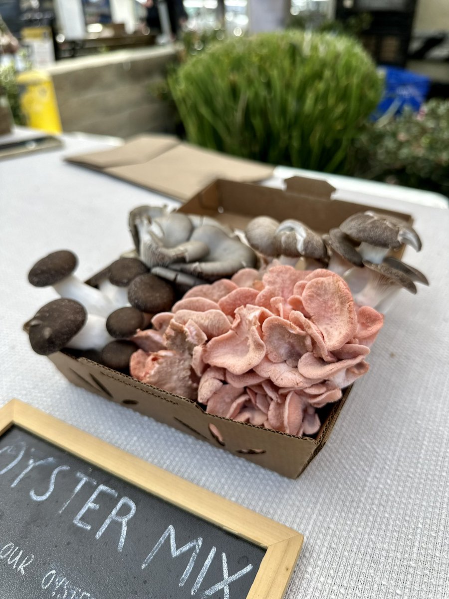 ApeyDL's tweet photo. I’ll never look at mushrooms the same again thanks #tlou https://t.co/dZIvADRVbF
